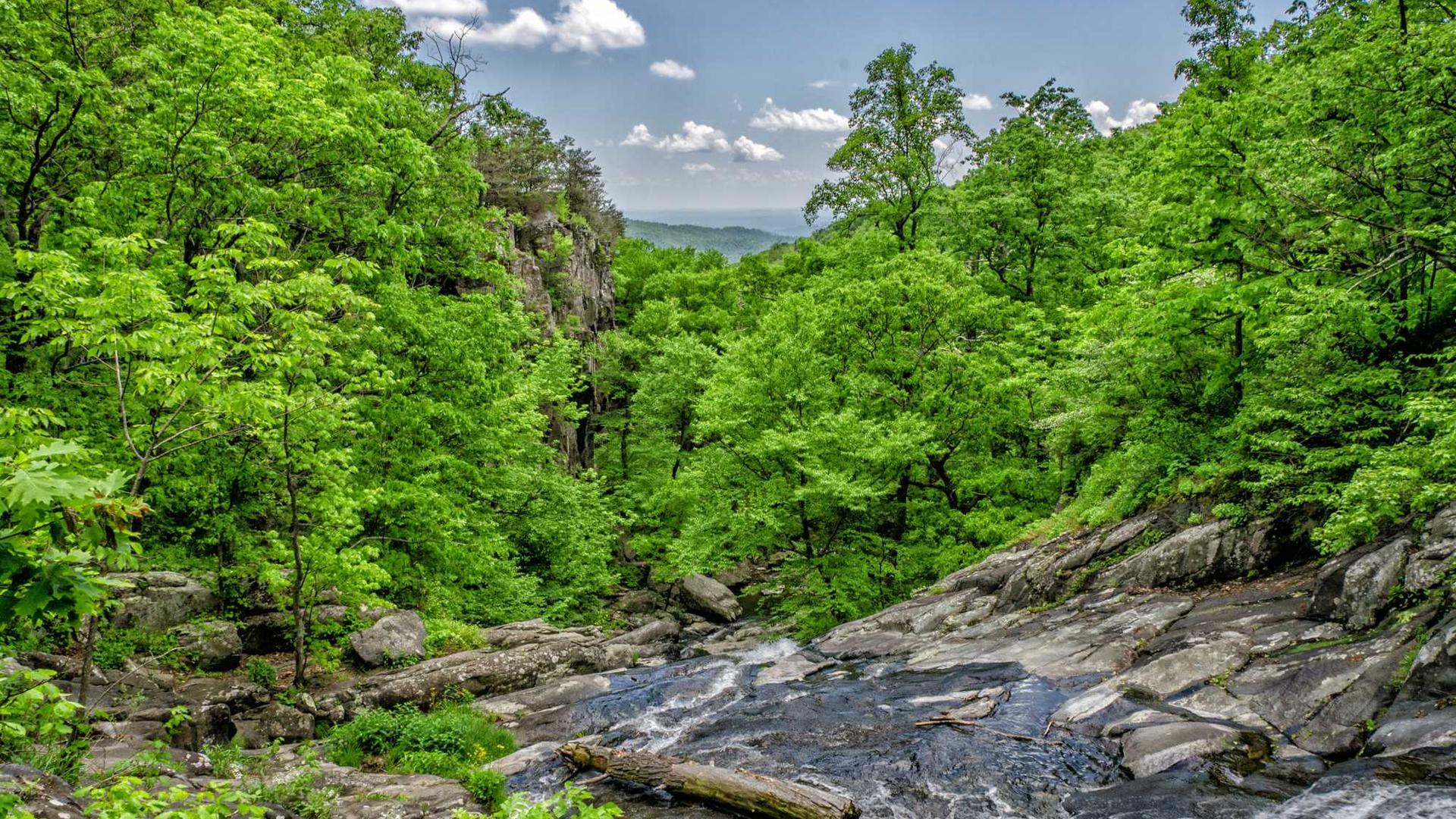 From manufacturing to trade