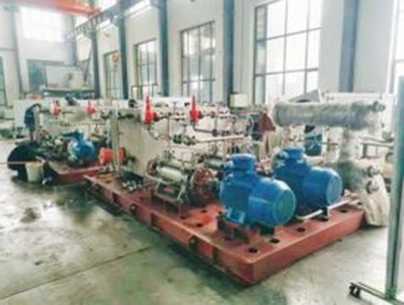 Pumps for Japanese companies